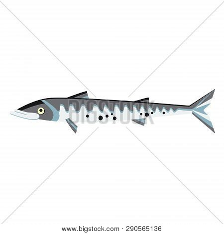 Pike Flat Illustration On White Background. Marine And Underwater Series.