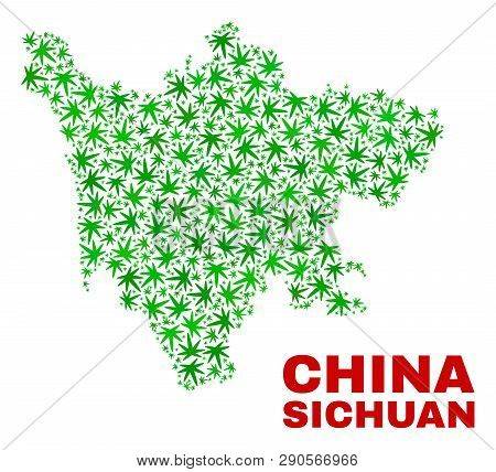 Vector Marijuana Sichuan Province Map Mosaic. Concept With Green Weed Leaves For Marijuana Legalize 