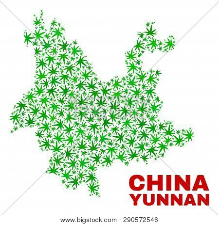 Vector Marijuana Yunnan Province Map Collage. Concept With Green Weed Leaves For Marijuana Legalize 