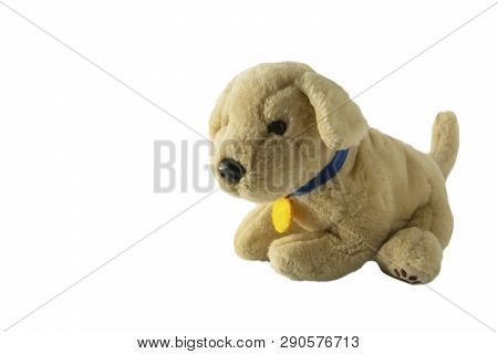 Soft Plush Dog Toy. Ivory, Brown Pupy Toy, Isolated On White
