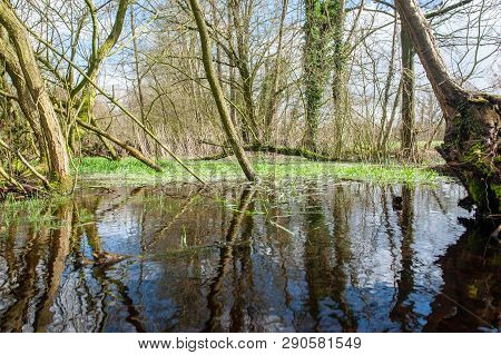 Flooded Fields After A Significant Winter Storm, Near The Dutch Town Of Orvelte.