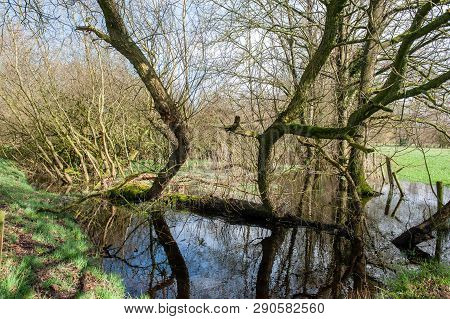 Flooded Fields After A Significant Winter Storm, Near The Dutch Town Of Orvelte.