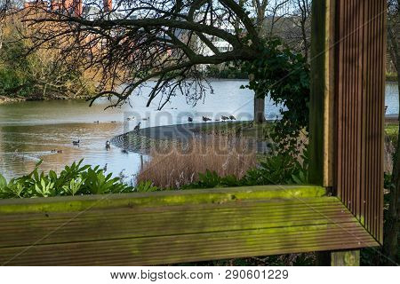 View Through Large Hollow Picture Frame Of Trees And Birds In Pond At Leases Park In Newcastle, Engl