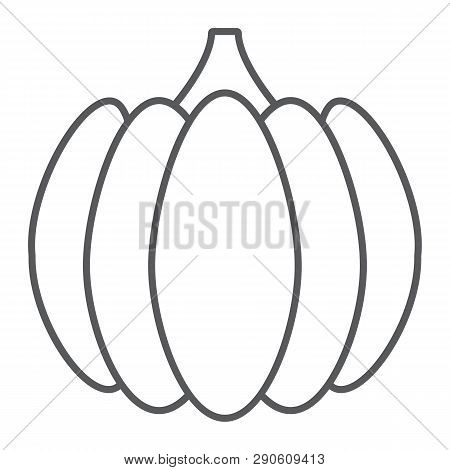 Pumpkin Thin Line Icon, Vegetable And Farm, Gourd Sign, Vector Graphics, A Linear Pattern On A White