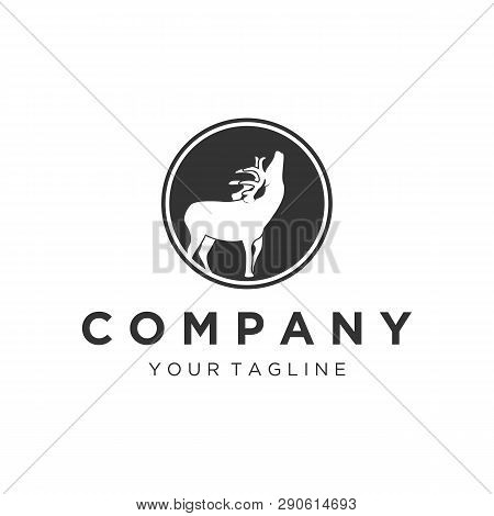 Deer Logo Design Inspiration. Deer Icon With The Badge