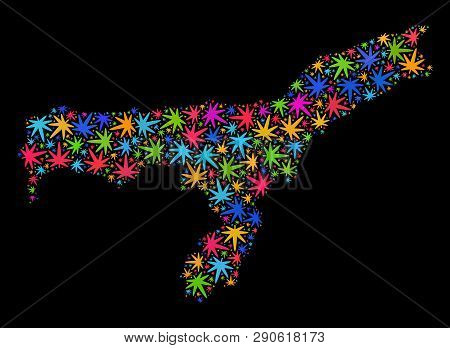 Bright Vector Cannabis Assam State Map Collage On A Black Background. Template With Bright Weed Leav
