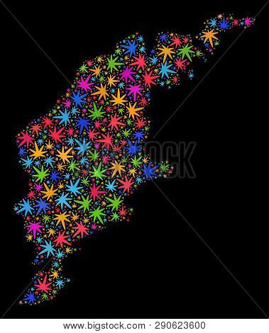 Bright Vector Cannabis Gotland Island Map Collage On A Black Background. Concept With Psychedelic We