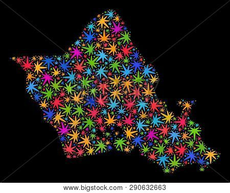 Bright Vector Cannabis Oahu Island Map Mosaic On A Black Background. Template With Bright Weed Leave