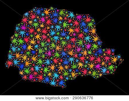Bright Vector Cannabis Parana State Map Mosaic On A Black Background. Concept With Bright Herbal Lea