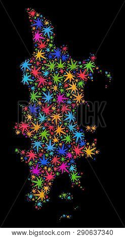 Bright Vector Cannabis Phuket Map Mosaic On A Black Background. Concept With Bright Weed Leaves For 