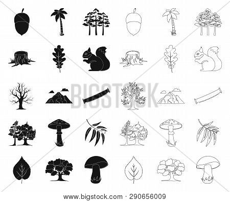 Forest And Nature Black, Outline Icons In Set Collection For Design. Forest Life Vector Symbol Stock