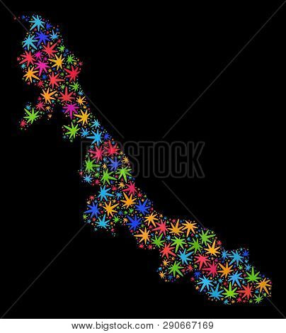 Bright Vector Cannabis Veracruz State Map Collage On A Black Background. Template With Bright Weed L