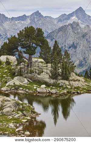 Aigues Tortes National Park Mountain Landscape. Estany Damitges. Spain