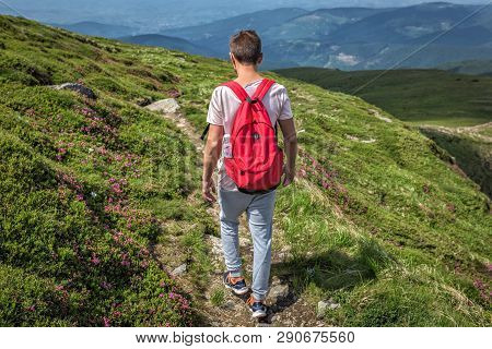 Traveler Man With A Red Backpack, Guy Lost In Mountains Walking Along  Path, Boy Spring Summer Walk 