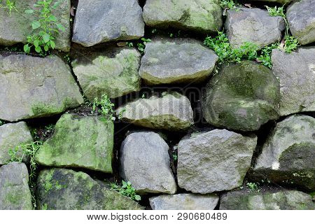 Green Moss On Split Stone, Big Split Stone Texture