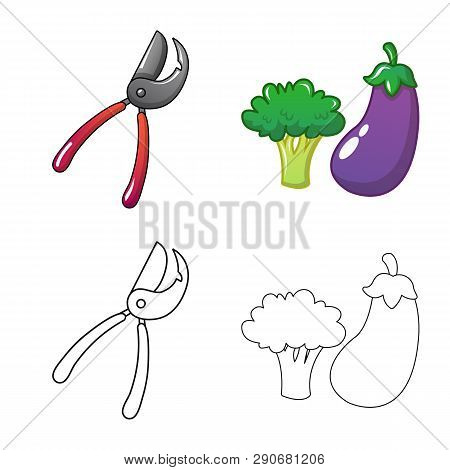 Vector Illustration Of Farm And Agriculture Icon. Set Of Farm And Plant Vector Icon For Stock.