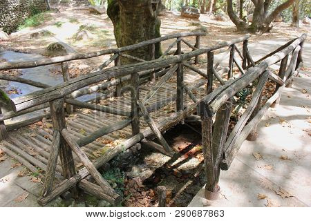 Agios Nikolaos Park Naousa Greece Europe