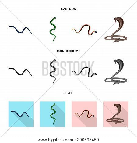 Vector Design Of Mammal And Danger Sign. Collection Of Mammal And Medicine Vector Icon For Stock.