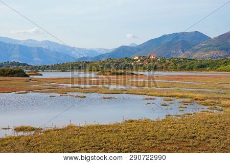 Wetland Landscape. Montenegro. View Of Special Botanical And Animal Reserve Tivat Salina  ( Tivatska