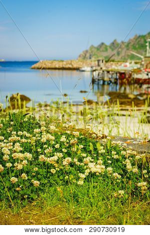 Fishing Port, Bleik Village In Summer Time. Andoya Island, Vesteralen Archipelago.