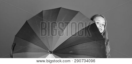 Colorful Umbrella Accessory. Weather Forecast Concept. Stay Positive Though Rainy Day. Brighten Up L