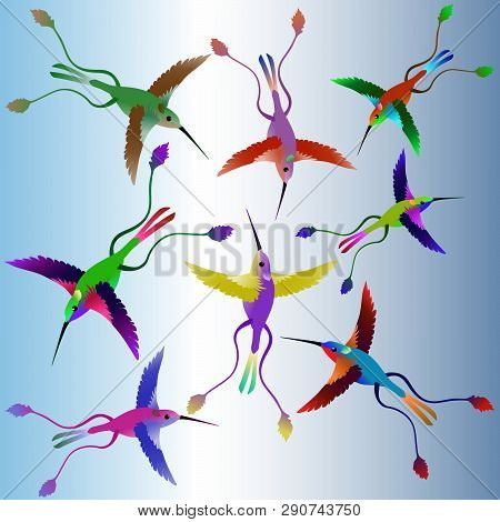 The Soaring Tropical Humming-birds Of Different Flowers And Shades.