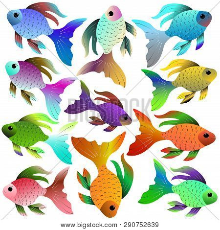 Bright Aquarium Fish Of Different Colors And Shades.
