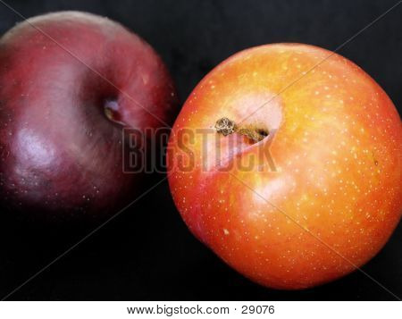 Two Plumbs