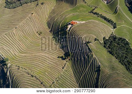 Aerial View Of The Terraced Vineyards In The Douro Valley Near The Village Of Pinhao, Portugal; Conc