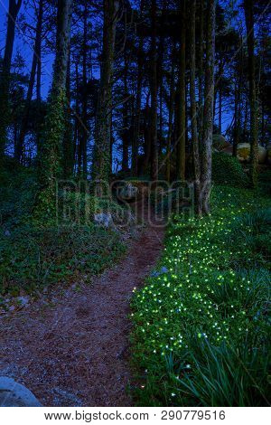 Fabulous Blue Flower With Small Lights In The Middle Of A Wild Forest