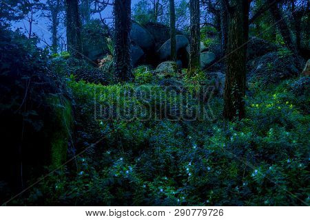 Fabulous Blue Flower With Small Lights In The Middle Of A Wild Forest