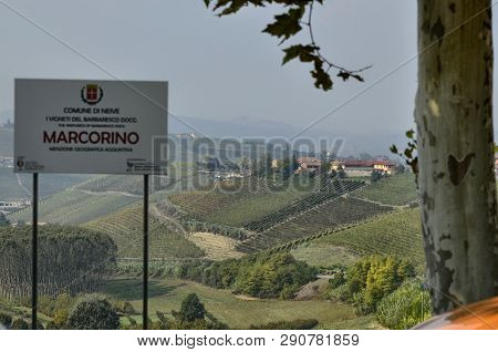 The Landscape Of The Vineyards Of Barbaresco