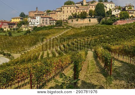 Neive, Piedmont, Italy. October 2018.