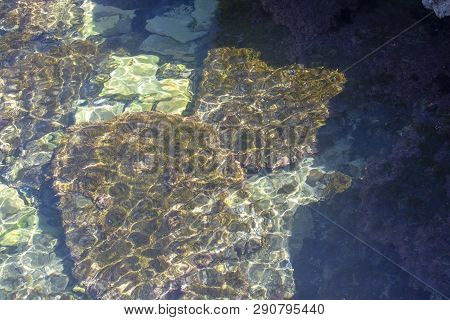 Sea Floor With Rocks Sunlight Closeup