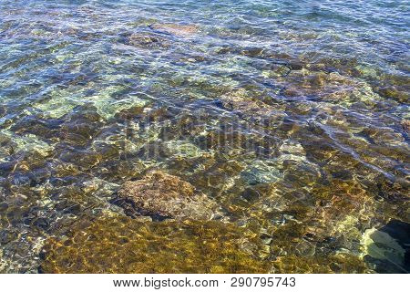 Sea Floor With Rocks Sunlight Closeup
