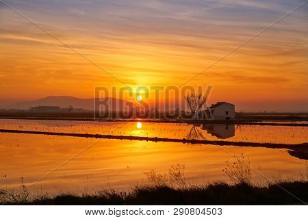 Delta del Ebro Ebre sunset in Deltebre of Tarragona at Catalonia spain