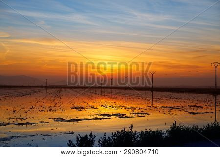 Delta del Ebro Ebre sunset in Deltebre of Tarragona at Catalonia spain