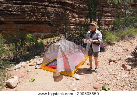 Woman Backpacker Setting Up Her Tent In The Hance Creek Campground In Gramd Canyon National Park, Ar