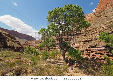 Hance Creek Backcountry Campsite In Grand Canyon National Park, Arizona.