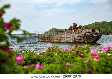 Sunken Ship On A Background Of Flowers
