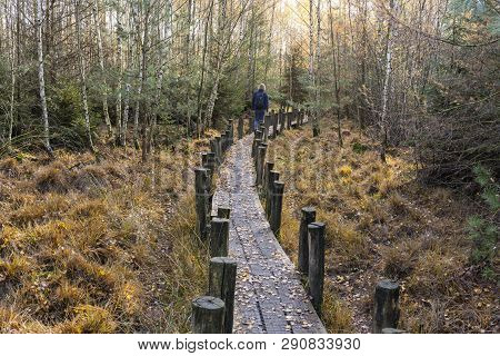 Dwingelderveld, Netherlands - November 11, 2018: Small Path With Hiker In Autumn In National Park Dw