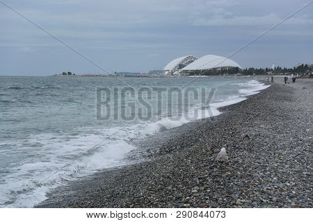Sochi, Russia October 8, 2016: View Of The Beach And Stadium Fischt In The Sochi, Russia
