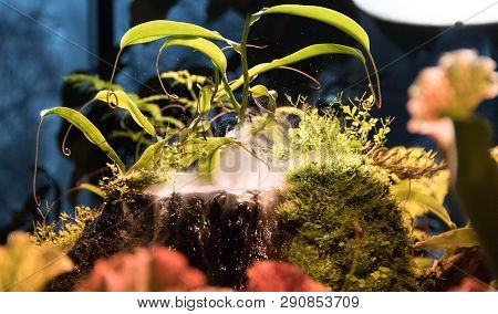 Small Waterfall With Green Plants And Fog