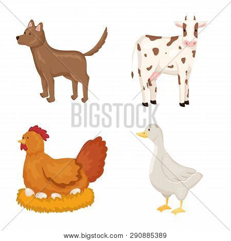 Vector Design Of Farm And Food Logo. Set Of Farm And Countryside Stock Symbol For Web.