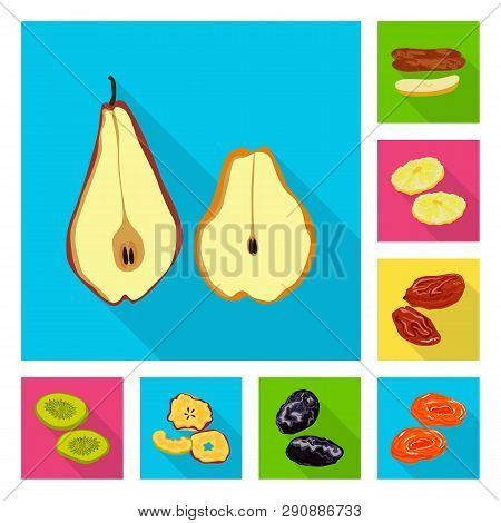 Vector Illustration Of Fruit And Dried  Logo. Set Of Fruit And Food  Vector Icon For Stock.
