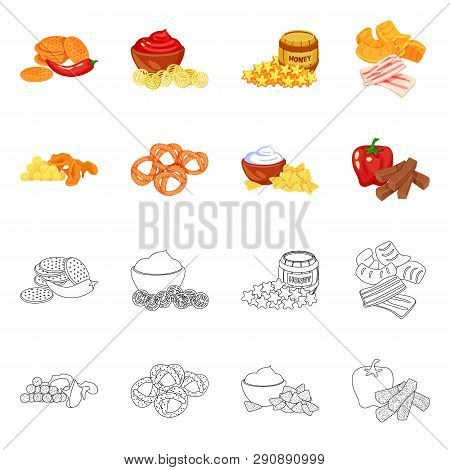 Vector Design Of Taste And Seasonin Icon. Collection Of Taste And Organic   Vector Icon For Stock.