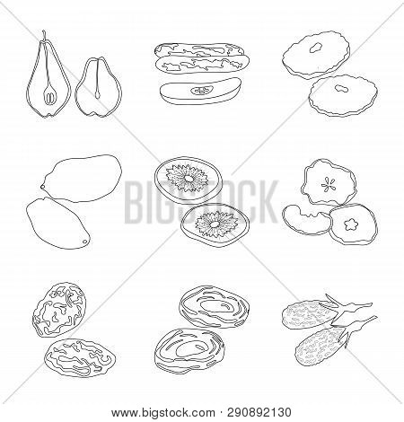 Vector Illustration Of Food  And Raw  Symbol. Set Of Food  And Nature  Stock Vector Illustration.