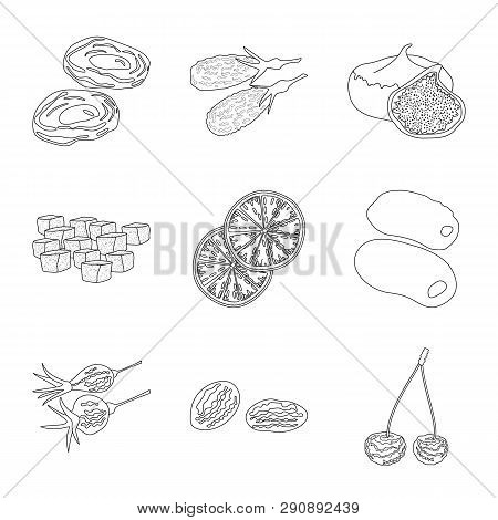 Vector Illustration Of Food  And Raw  Icon. Set Of Food  And Nature  Stock Vector Illustration.