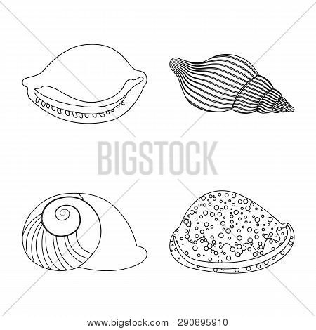 Vector Design Of Exotic And Seafood  Symbol. Set Of Exotic And Aquatic Vector Icon For Stock.