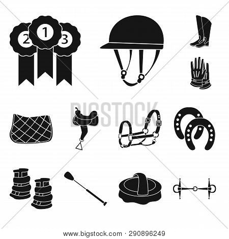 Vector Design Of Sport And Competition Icon. Set Of Sport And Equestrian Vector Icon For Stock.